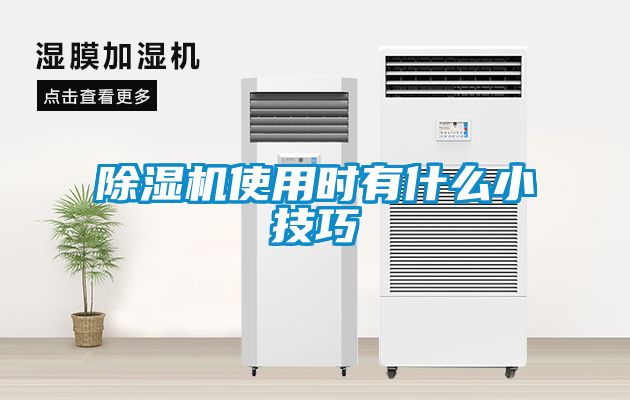 粉色视频免费在线观看使用时有什么小技巧