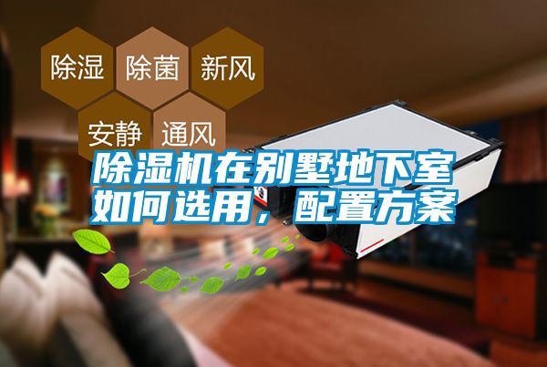 粉色视频免费在线观看在别墅地下室如何选用，配置方案