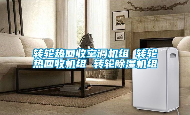 转轮热回收空调机组 转轮热回收机组 转轮粉色视频免费在线观看组