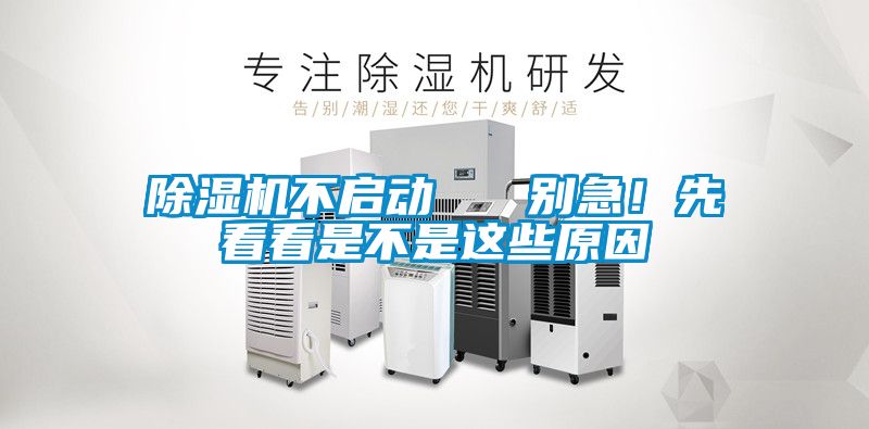 粉色视频免费在线观看不启动   别急！先看看是不是这些原因