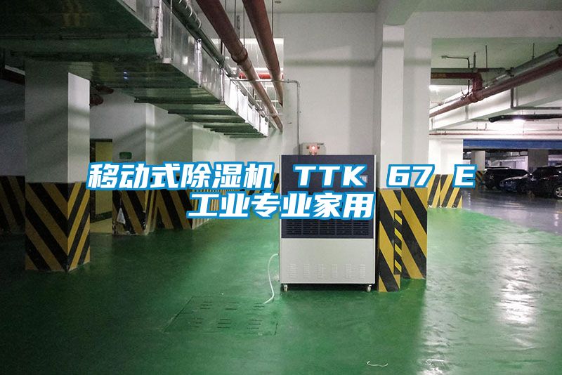 移动式粉色视频免费在线观看 TTK 67 E工业专业家用