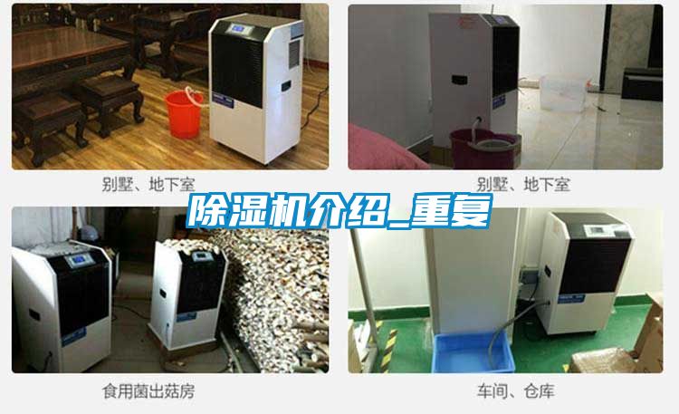粉色视频免费在线观看介绍_重复