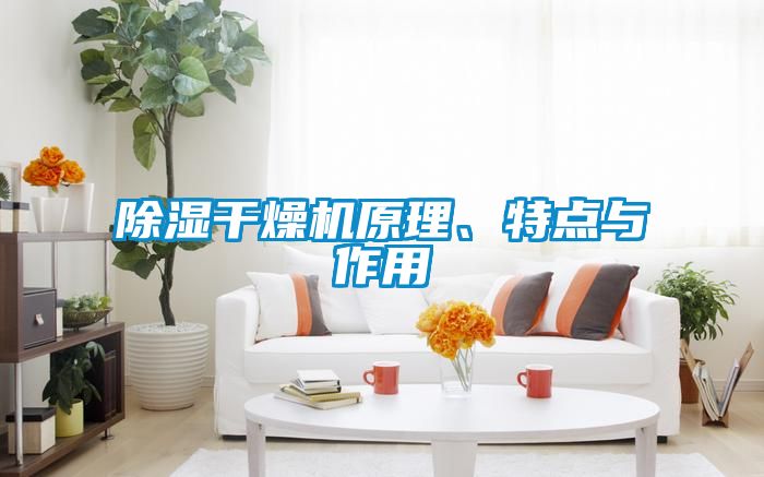 除湿干燥机原理、特点与作用