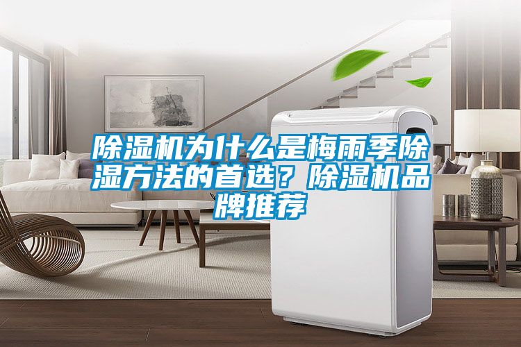 粉色视频免费在线观看为什么是梅雨季除湿方法的首选？粉色视频免费在线观看品牌推荐