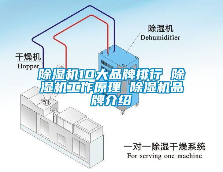 粉色视频免费在线观看10大品牌排行 粉色视频免费在线观看工作原理 粉色视频免费在线观看品牌介绍