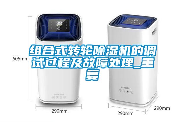 组合式转轮粉色视频免费在线观看的调试过程及故障处理_重复