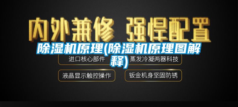 粉色视频免费在线观看原理(粉色视频免费在线观看原理图解释)