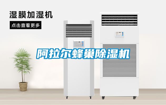 阿拉尔蜂巢粉色视频免费在线观看