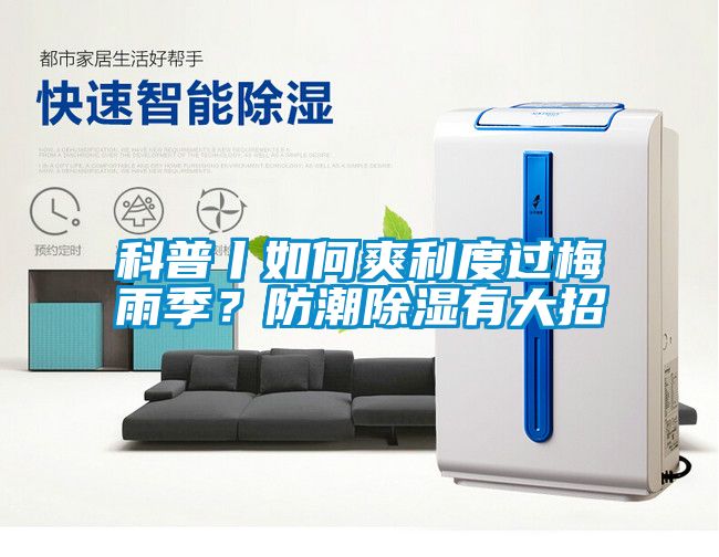 科普丨如何爽利度过梅雨季？防潮除湿有大招