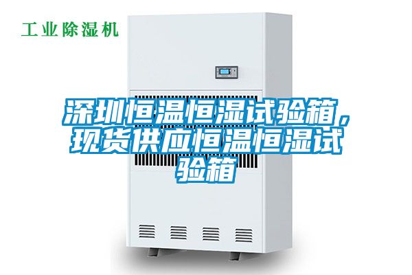 深圳恒温恒湿试验箱，现货供应恒温恒湿试验箱