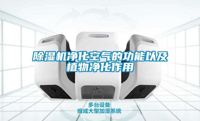 粉色视频免费在线观看净化空气的功能以及植物净化作用