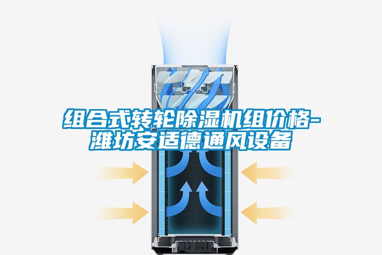 组合式转轮粉色视频免费在线观看组价格-潍坊安适德通风设备
