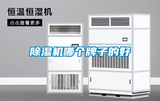 粉色视频免费在线观看哪个牌子的好