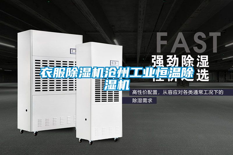 衣服粉色视频免费在线观看沧州工业恒温粉色视频免费在线观看