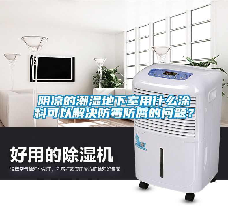 阴凉的潮湿地下室用什么涂料可以解决防霉防腐的问题？