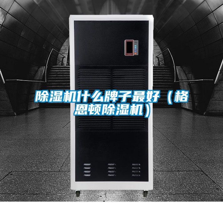 粉色视频免费在线观看什么牌子最好（格恩顿粉色视频免费在线观看）