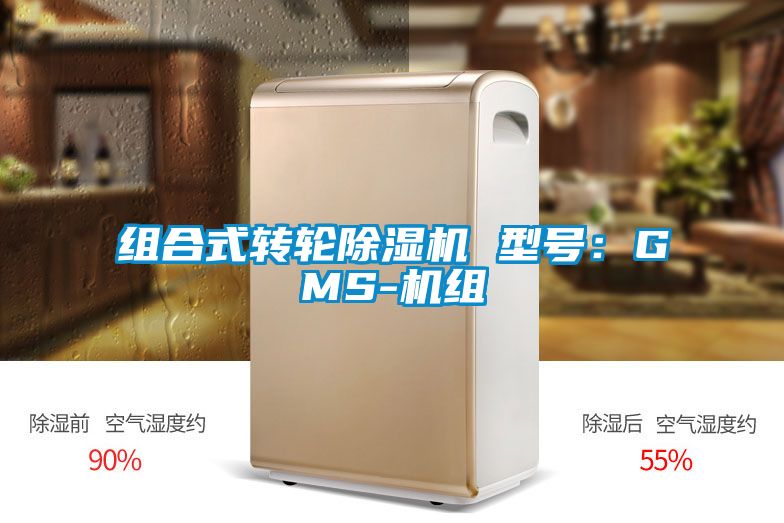 组合式转轮粉色视频免费在线观看 型号：GMS-机组