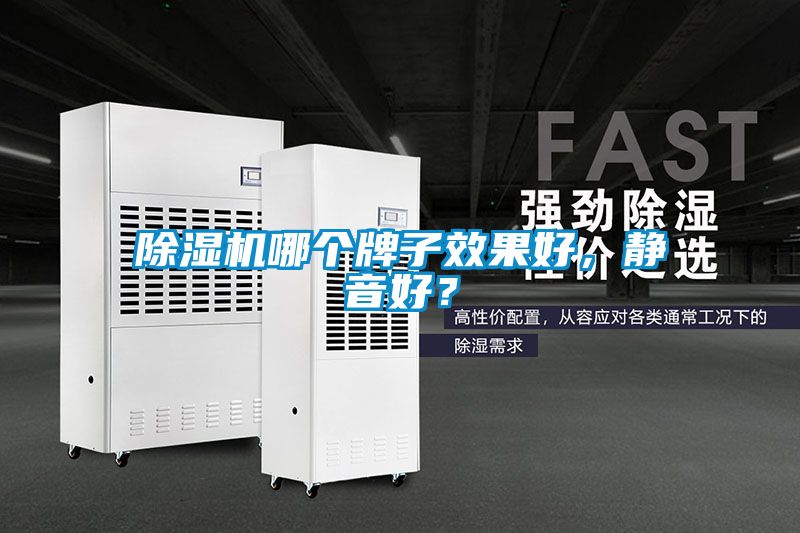 粉色视频免费在线观看哪个牌子效果好，静音好？