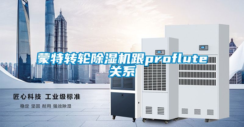 蒙特转轮粉色视频免费在线观看跟proflute关系