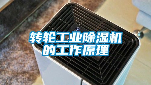 转轮工业粉色视频免费在线观看的工作原理