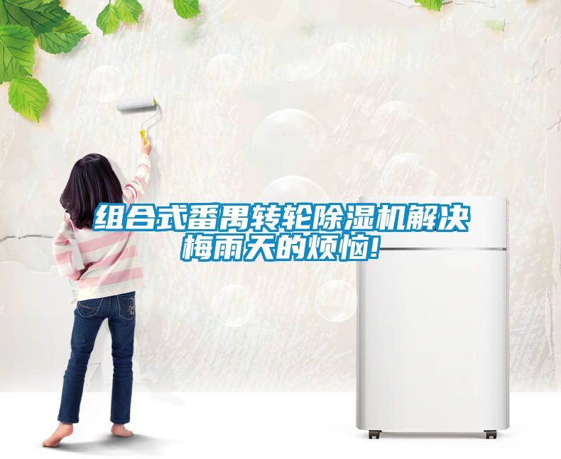组合式番禺转轮粉色视频免费在线观看解决梅雨天的烦恼!