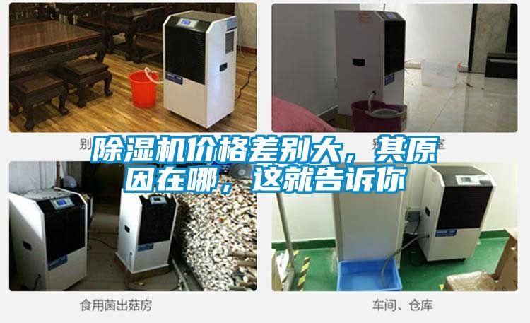 粉色视频免费在线观看价格差别大，其原因在哪，这就告诉你