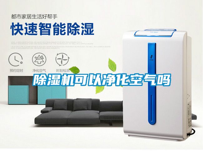 粉色视频免费在线观看可以净化空气吗