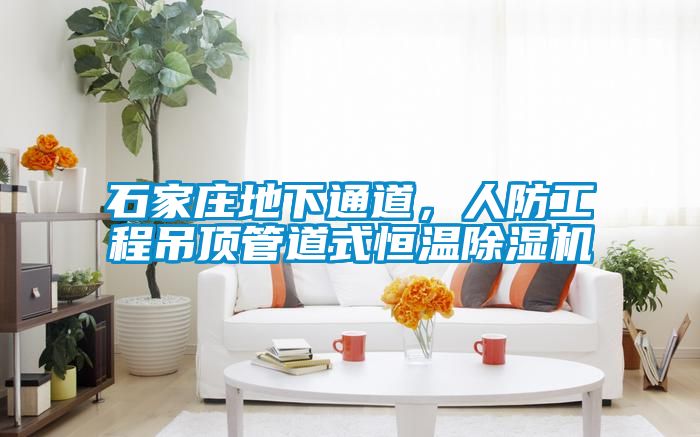石家庄地下通道，人防工程吊顶管道式恒温粉色视频免费在线观看