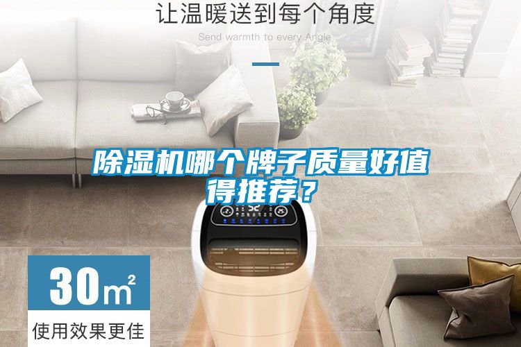粉色视频免费在线观看哪个牌子质量好值得推荐？