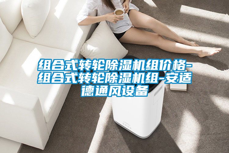 组合式转轮粉色视频免费在线观看组价格-组合式转轮粉色视频免费在线观看组-安适德通风设备