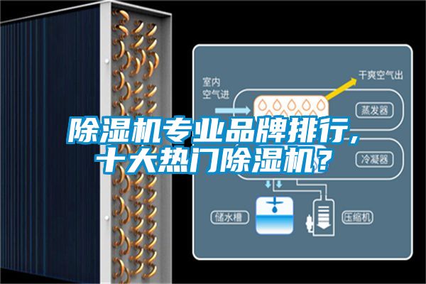 粉色视频免费在线观看专业品牌排行,十大热门粉色视频免费在线观看？