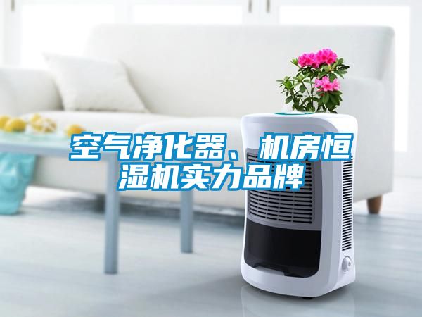 空气净化器、机房恒湿机实力品牌