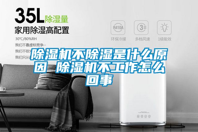 粉色视频免费在线观看不除湿是什么原因 粉色视频免费在线观看不工作怎么回事