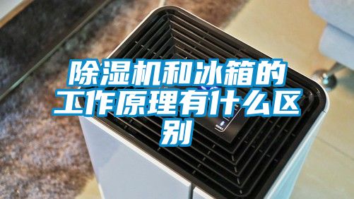 粉色视频免费在线观看和冰箱的工作原理有什么区别