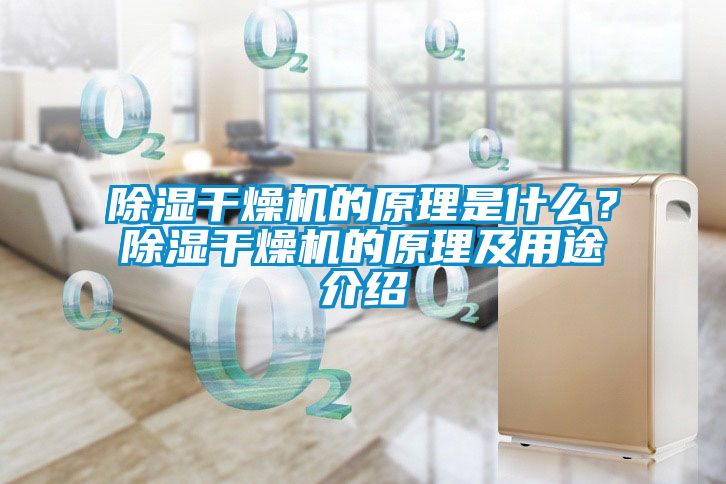 除湿干燥机的原理是什么？除湿干燥机的原理及用途介绍