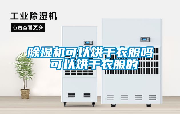 粉色视频免费在线观看可以烘干衣服吗 可以烘干衣服的