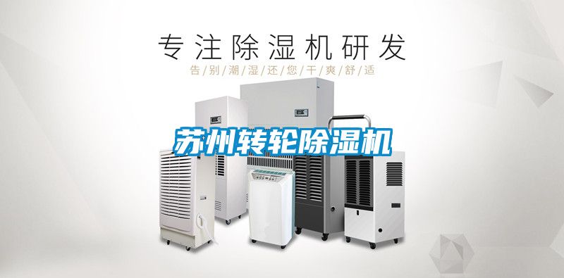 苏州转轮粉色视频免费在线观看