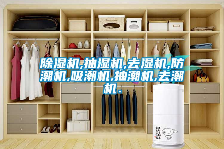 粉色视频免费在线观看,抽湿机,去湿机,防潮机,吸潮机,抽潮机,去潮机．