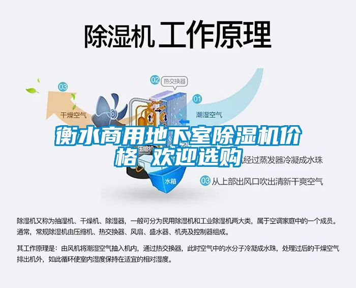 衡水商用地下室粉色视频免费在线观看价格 欢迎选购