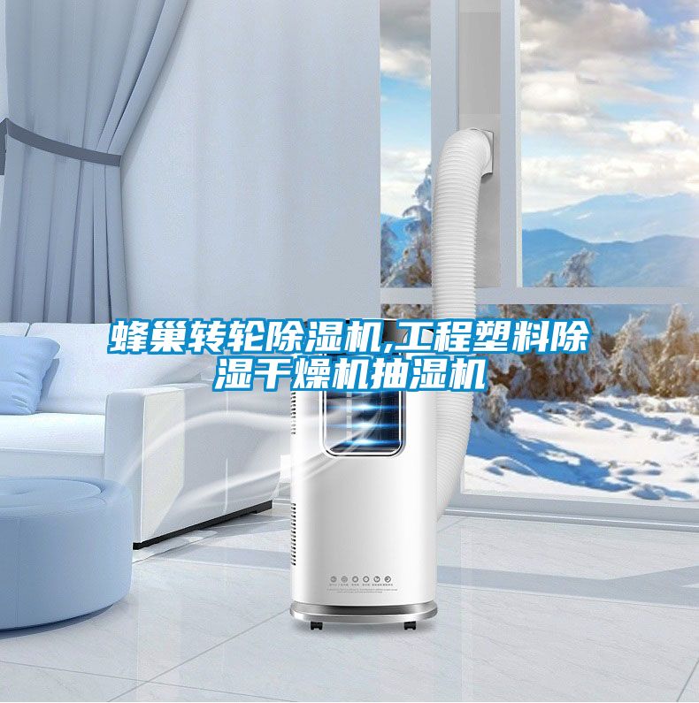 蜂巢转轮粉色视频免费在线观看,工程塑料除湿干燥机抽湿机