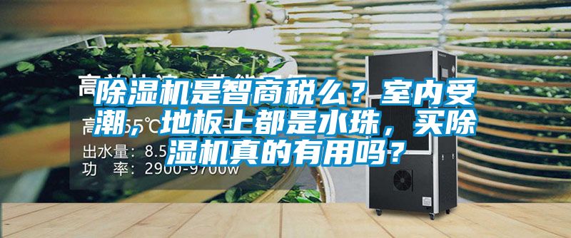 粉色视频免费在线观看是智商税么？室内受潮，地板上都是水珠，买粉色视频免费在线观看真的有用吗？