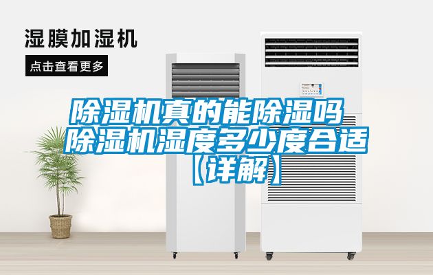 粉色视频免费在线观看真的能除湿吗 粉色视频免费在线观看湿度多少度合适【详解】