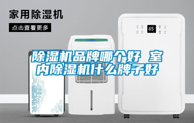 粉色视频免费在线观看品牌哪个好 室内粉色视频免费在线观看什么牌子好