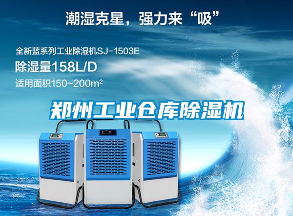 郑州工业仓库粉色视频免费在线观看