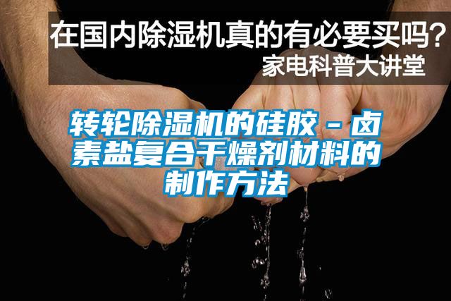 转轮粉色视频免费在线观看的硅胶－卤素盐复合干燥剂材料的制作方法