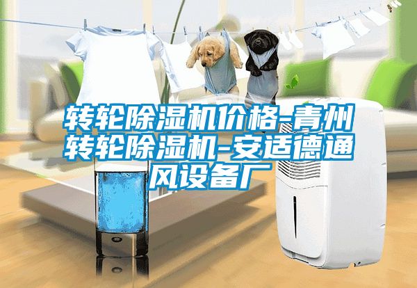 转轮粉色视频免费在线观看价格-青州转轮粉色视频免费在线观看-安适德通风设备厂