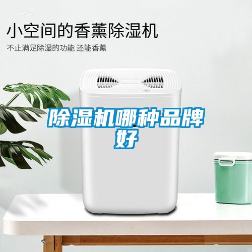 粉色视频免费在线观看哪种品牌好