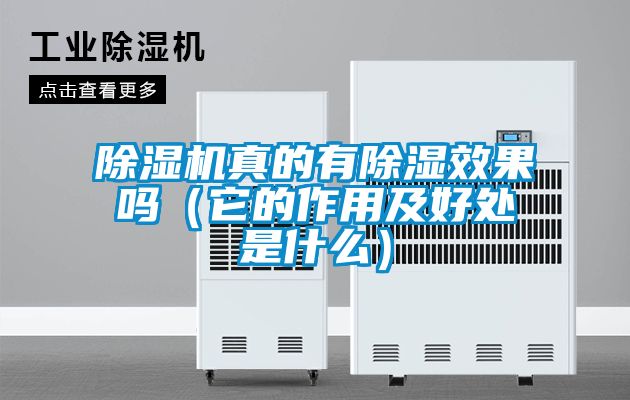 粉色视频免费在线观看真的有除湿效果吗（它的作用及好处是什么）