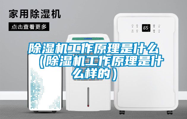 粉色视频免费在线观看工作原理是什么（粉色视频免费在线观看工作原理是什么样的）