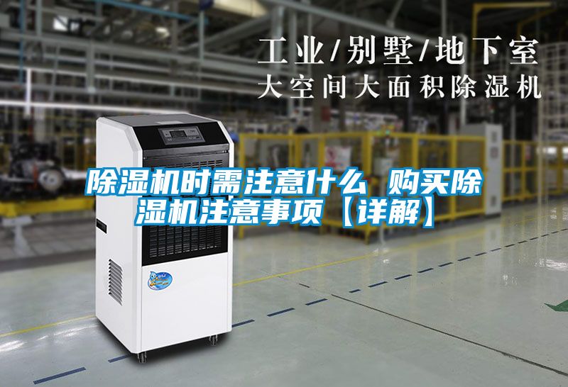 粉色视频免费在线观看时需注意什么 购买粉色视频免费在线观看注意事项【详解】